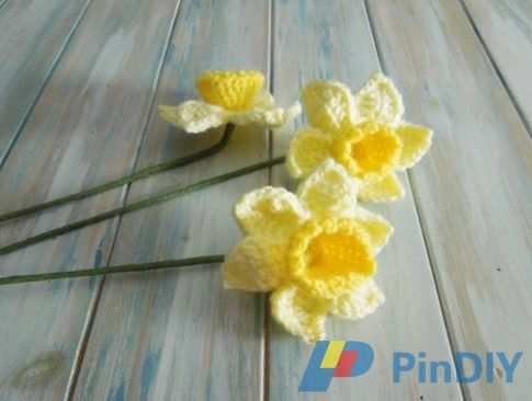 Spring Daffodils