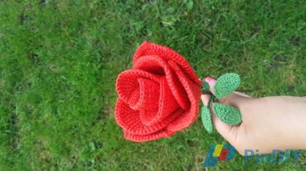 20160723_190911.jpg