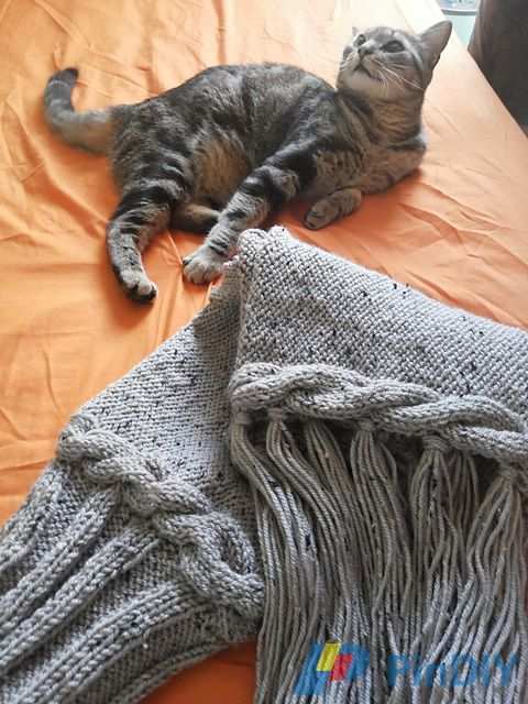 20160727_112436_medium2.jpg