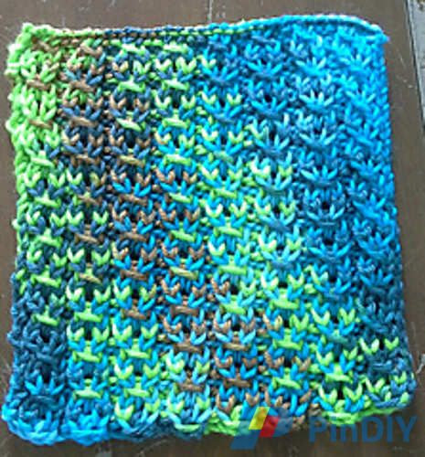 20160802_141104_3__small_medium.jpg