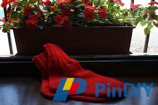 IMG_7081_small2.jpg