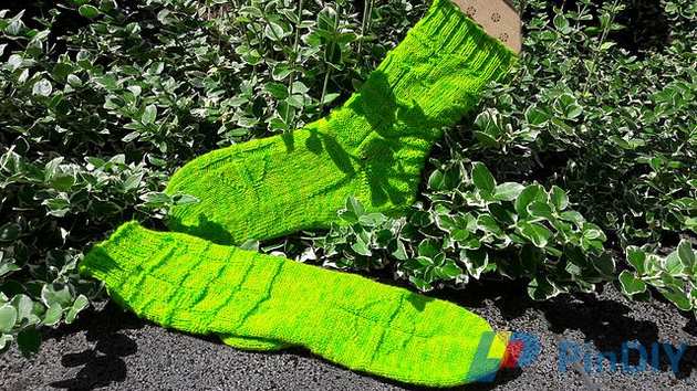 20160809_122412_medium2.jpg