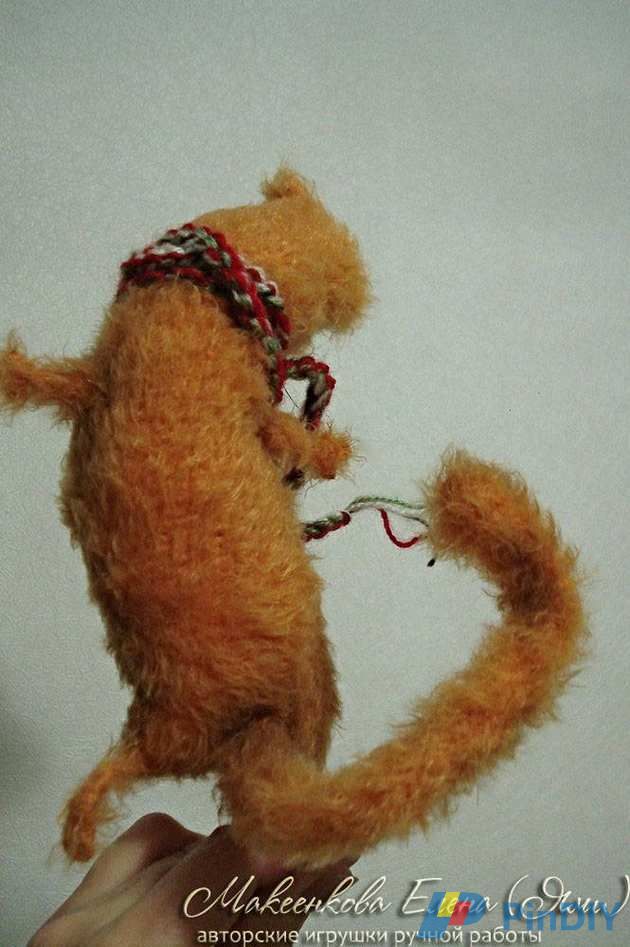Ginger cat bonehead