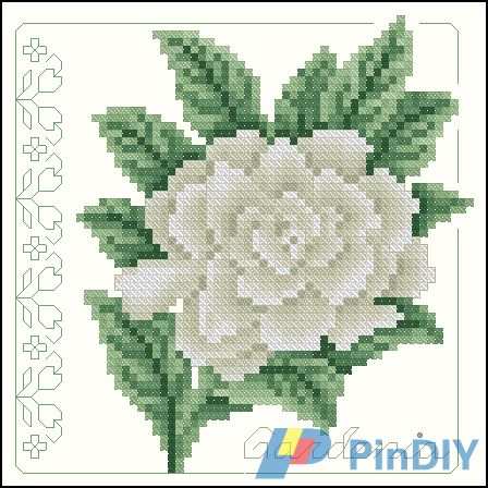 L-214 Gardenia.jpg