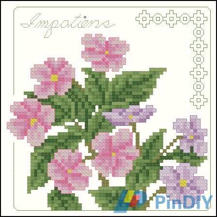 L-215 Impatiens.jpg