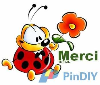 merci (9).jpg