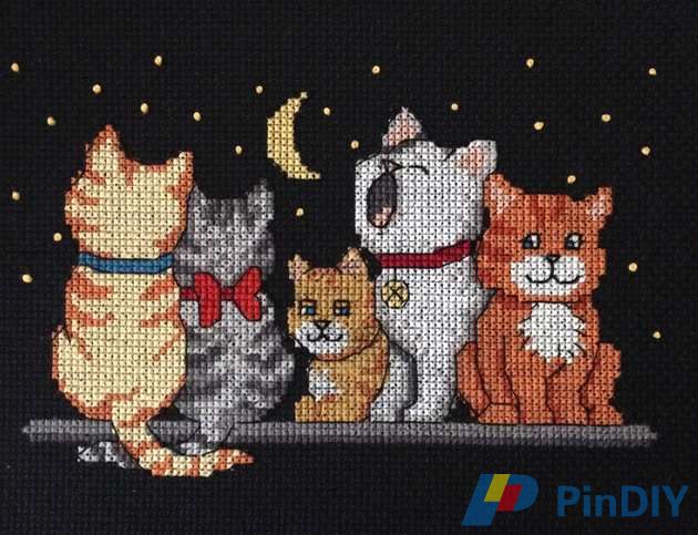 Dimensions 16571 Midnight Meow