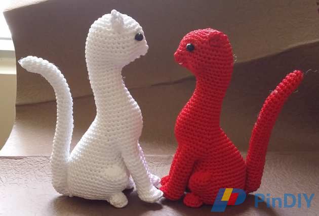 Red and white cat.jpg