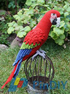 Red Parrot