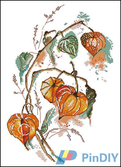 Panna C-1837 - Physalis.jpg