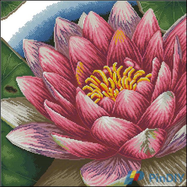 Dome 110506 - Lotus.jpg