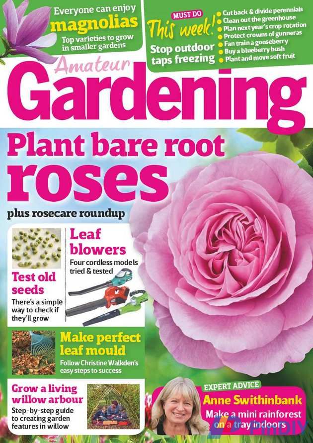 Amateur Gardening - November 12, 2016.jpg