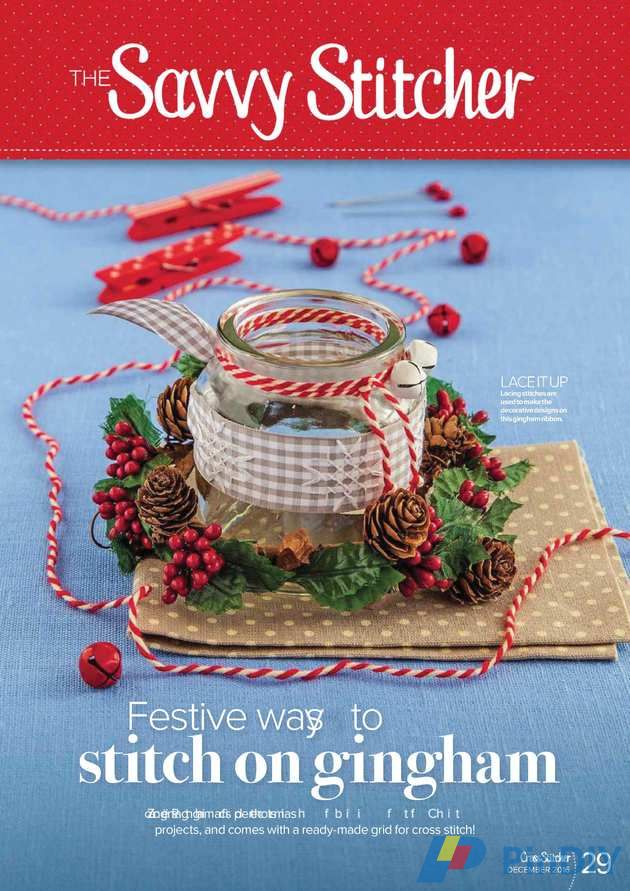 Cross Stitcher (29).jpg