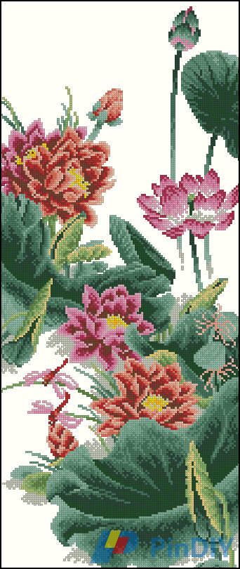 Dome 100814 - Lotus Flowers.jpg