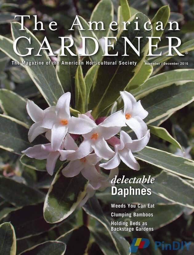 The American Gardener - November-December 2016-P2P.jpg