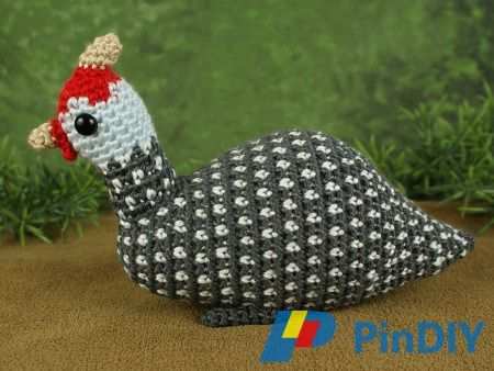 guineafowl1.jpg