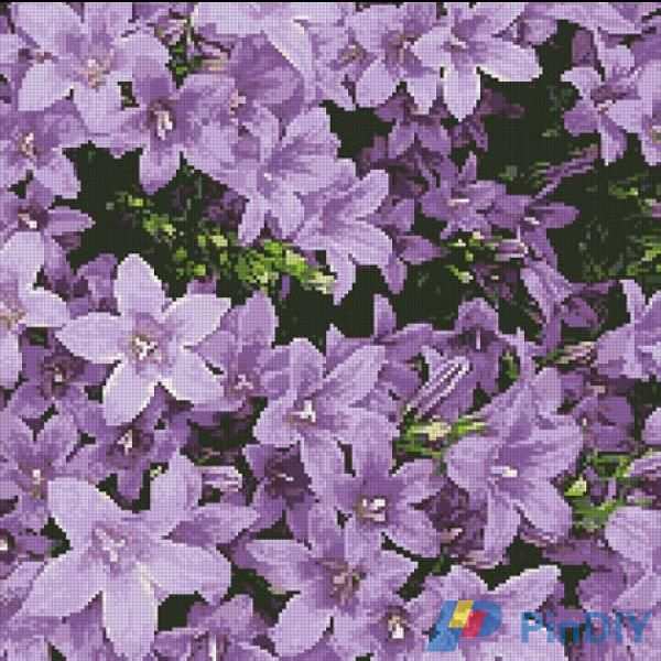 Artecy_Campanula.JPG
