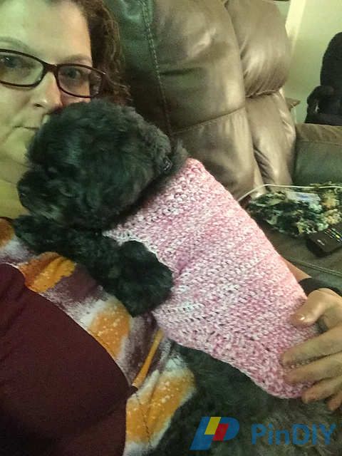Basic Ribbed Dog Sweater.jpg