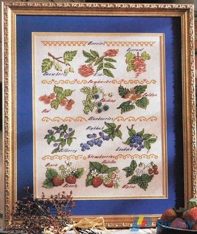 s47 Berry Sampler.jpg