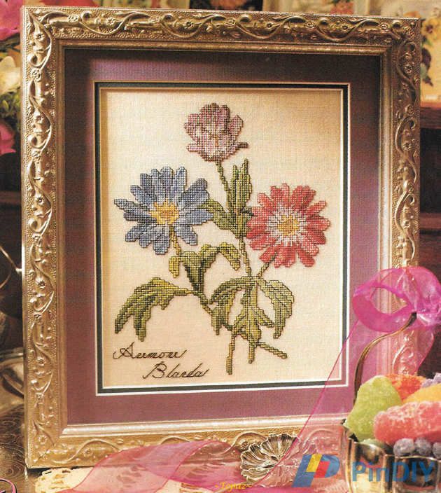 s57 Grecian Windflowers.jpg
