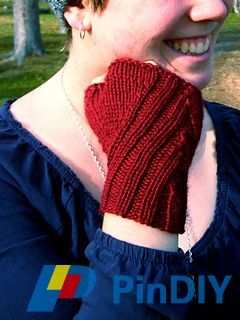 IMG_2503_small2.jpg