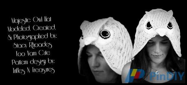  The Majestic Owl Hat