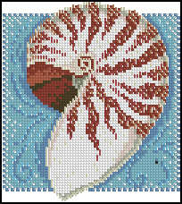 MH14-0105 Nautilus Shell.jpg