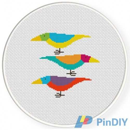 Paradise Colorful Birds.jpg