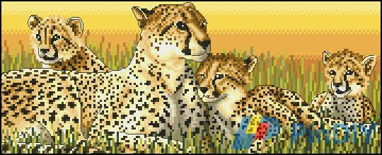 Royal Paris 9880.6418.0008 Les Gepardy.jpg