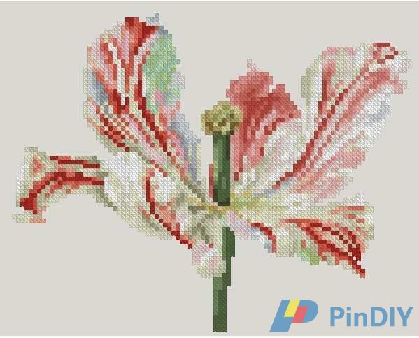 012 Tulip Panel