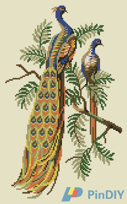 12-642 Peacocks (1).jpg