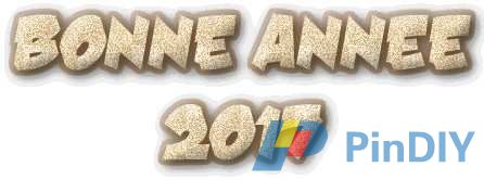 bonne-annee-2017.jpg