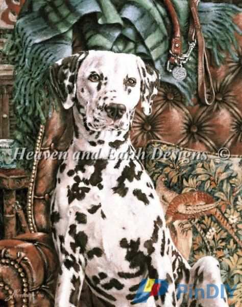 LOVELACE101 Dalmation.jpg