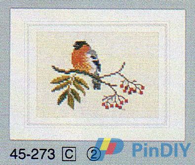 45-273 Bullfinch card (2).jpg