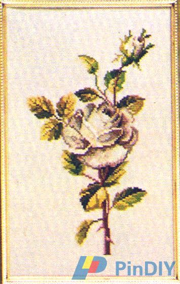 12-202 White rose (2).jpg