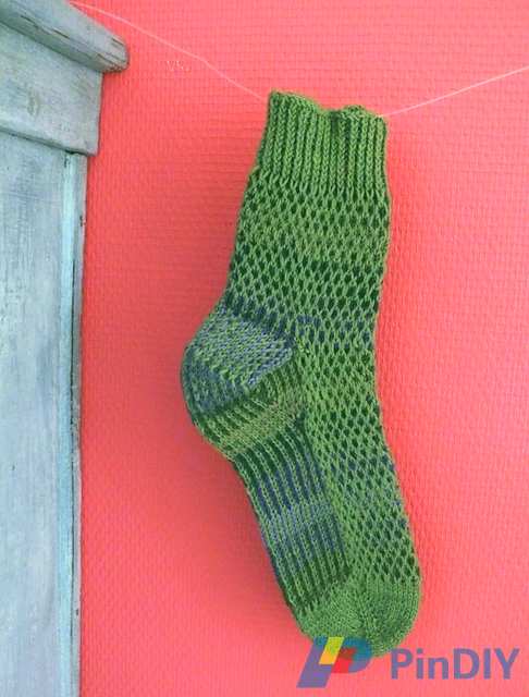 P1360906_medium22.jpg