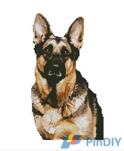 German Shepherd .jpg