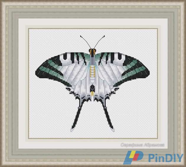 Seraphim Abramova - Graphium Antiphates.jpg