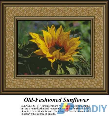 FL-48 Old-Fashioned Sunflower.jpg