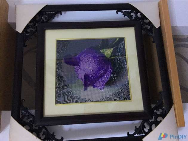 Purple Rose