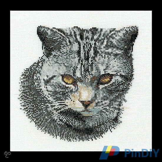 Thea Gouverneur 932_Poes Piet.jpg