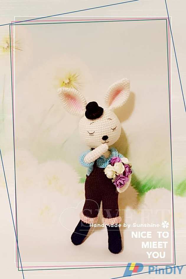 1060331Mr. Rabbit4.jpg