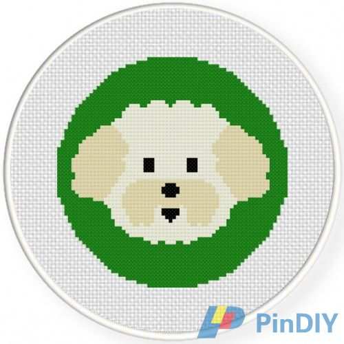 Biichon Frise Portrai.jpg