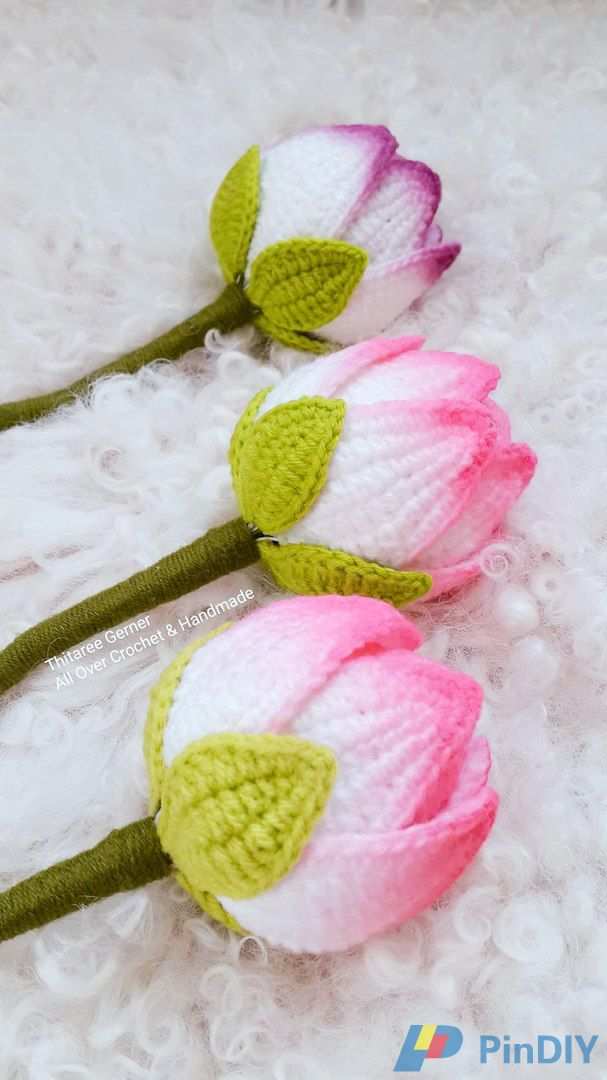 Lotus Flower