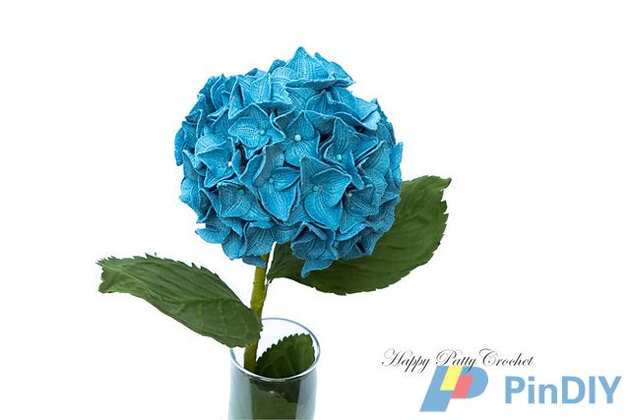 Hydrangea.jpg