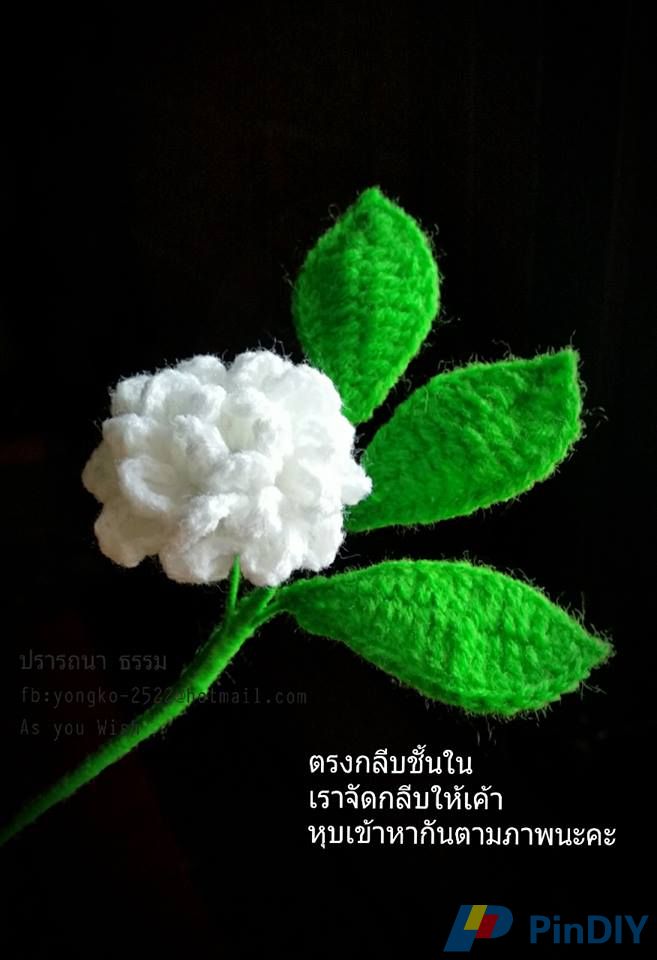 Jasmine Flower
