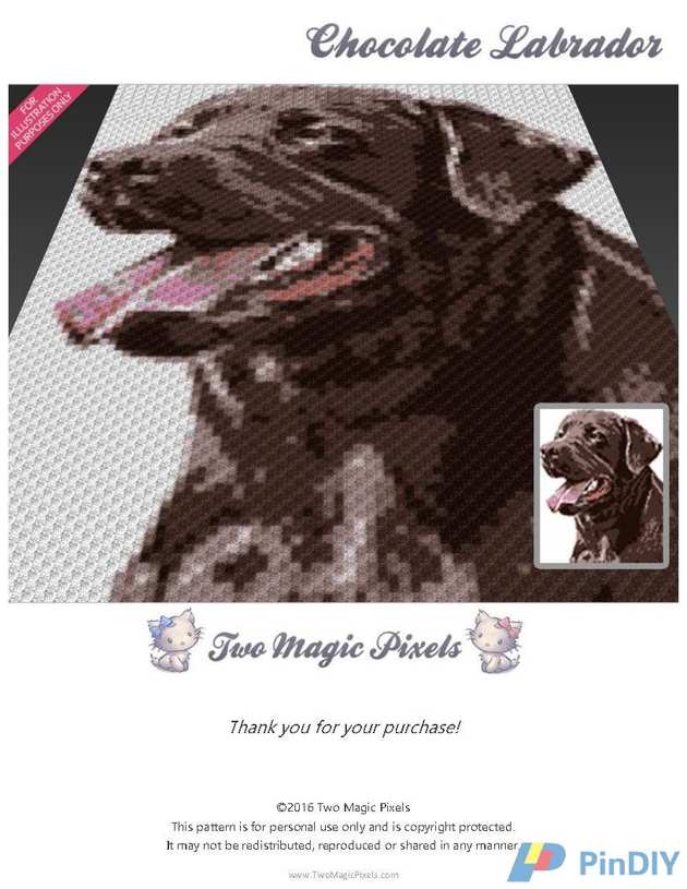 chocolate labrador blanket -  twomagicpixels.jpg