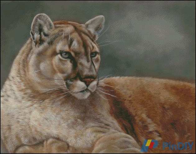 Cougar_at_Rest_-_Rebecca_Latham.jpg