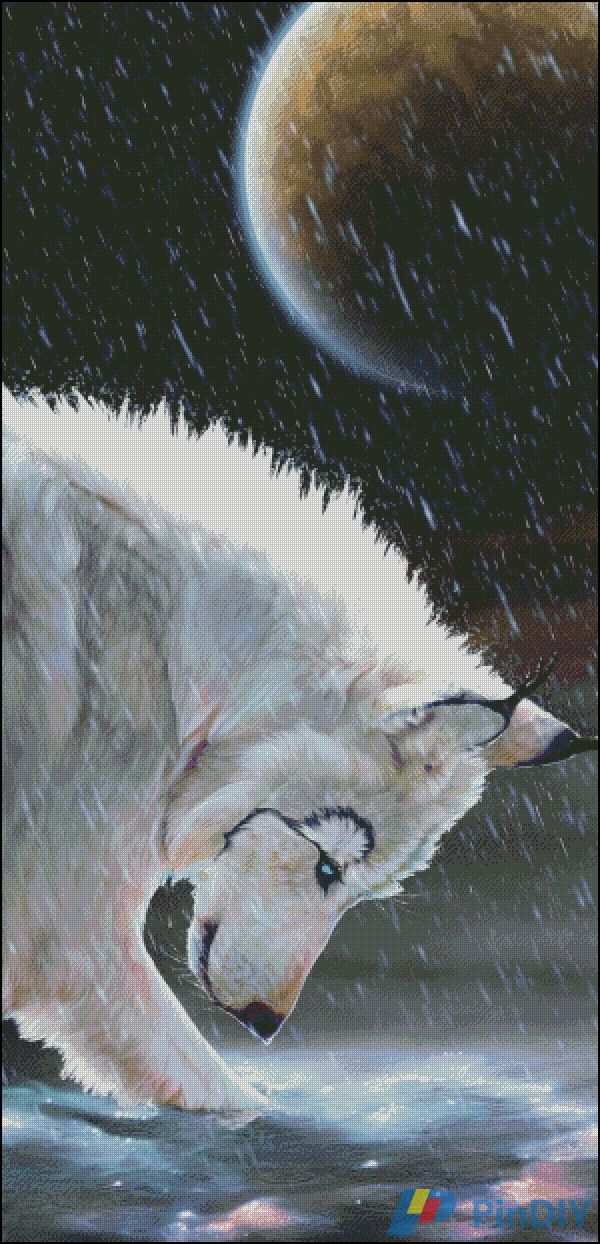 Rain_Wolf.jpg