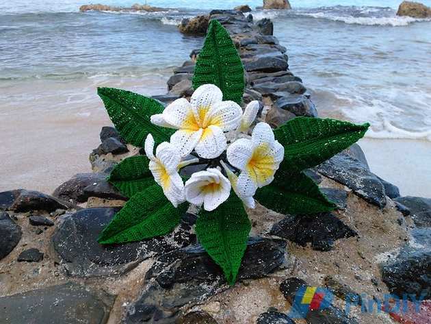 IMG_20170414_094636_medium2.jpg